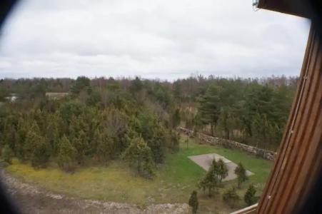 Mardi Farm Stay - 52