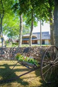 Mardi Farm Stay - 2