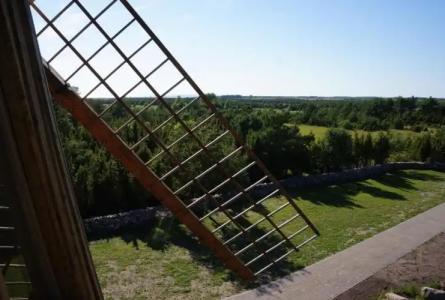 Mardi Farm Stay - 46