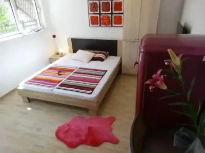 Guesthouse Marileo - 75