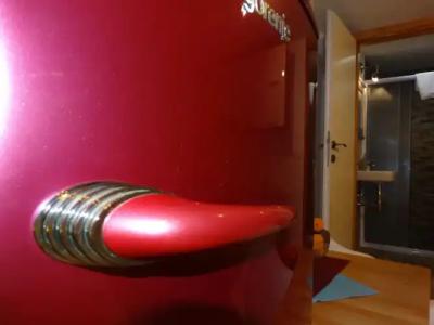 Guesthouse Marileo - 78