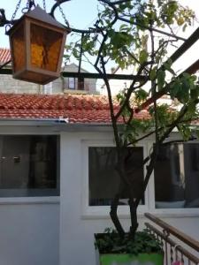 Guesthouse Marileo - 56