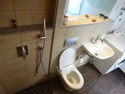 Guesthouse Marileo - 9