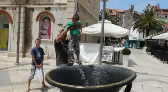 Guesthouse Marileo - 30