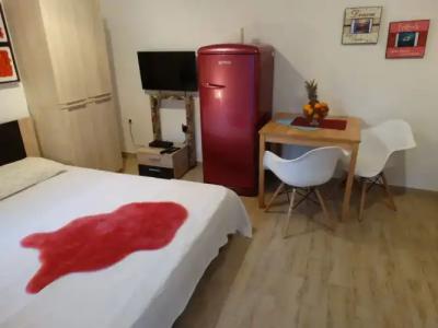 Guesthouse Marileo - 2