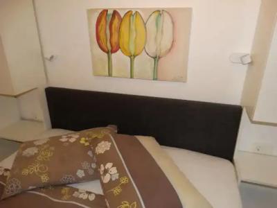 Guesthouse Marileo - 4