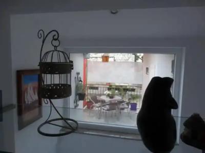 Guesthouse Marileo - 48