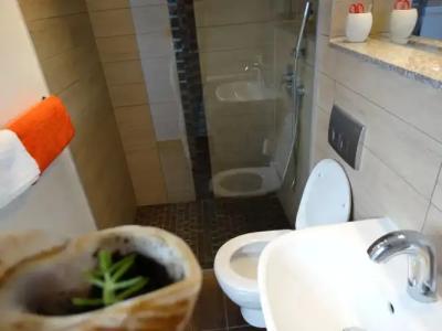 Guesthouse Marileo - 66