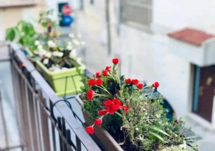 Bed and Breakfast Alberini - 18