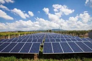 I Casali Della Parata, Velletri