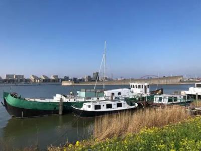 Floating B&B Amsterdam - 9
