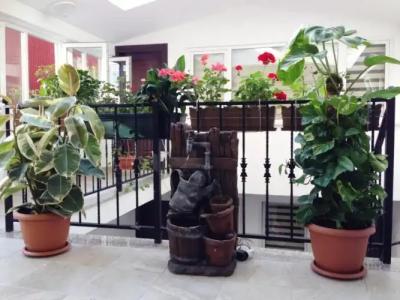 Atrium Suites - 55