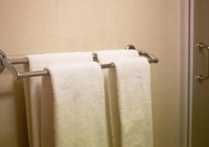 Best Western Felix - 8