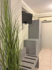 Zante Pantheon - 101