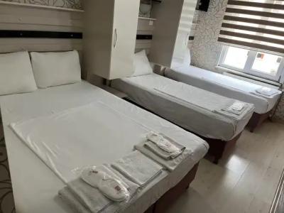 Balkan Palace Edirne - 6