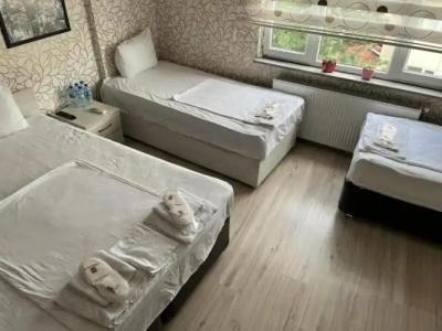 Balkan Palace Edirne - 34