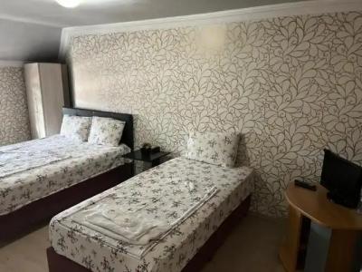 Balkan Palace Edirne - 43