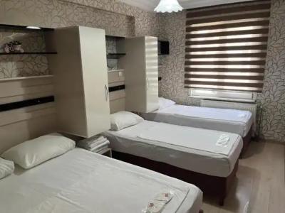 Balkan Palace Edirne - 33