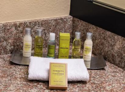 DoubleTree by Hilton Orlando Theme Park Resort - 106