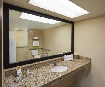 DoubleTree by Hilton Orlando Theme Park Resort - 105