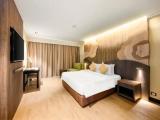 Deluxe Double room with pool view