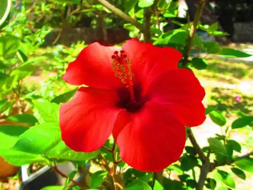 Zelen Residence - 14