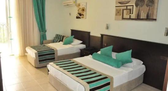 Kleopatra Royal Palm - 56