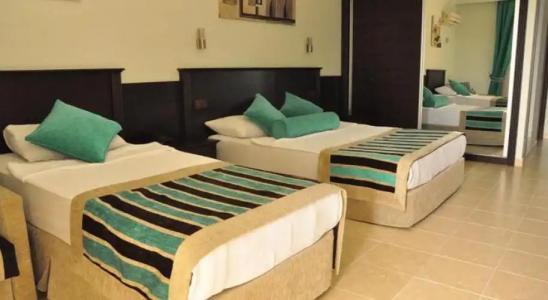 Kleopatra Royal Palm - 54