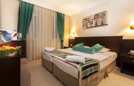 Kleopatra Royal Palm - 75