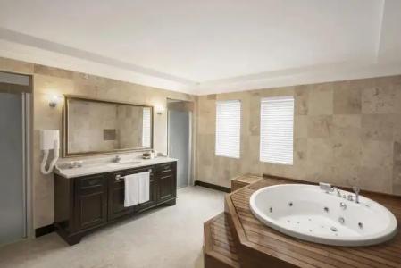 Papillon Ayscha Resort & Spa - All Inclusive Resort - 138