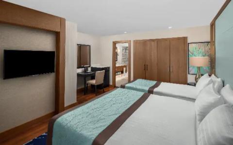 Papillon Zeugma Relaxury - 59