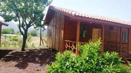 Ugur Pansiyon Çirali - 81