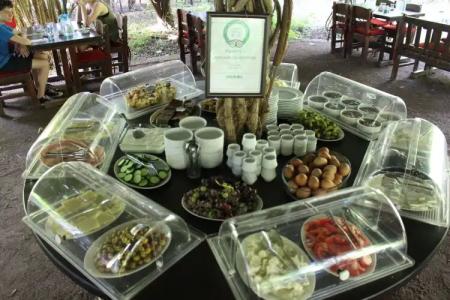 HemeransAnatolia - 8