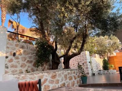 Kalkan Park Otel - 11