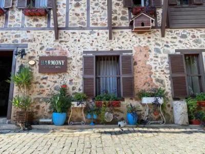 Harmony Boutique-hotel - 33