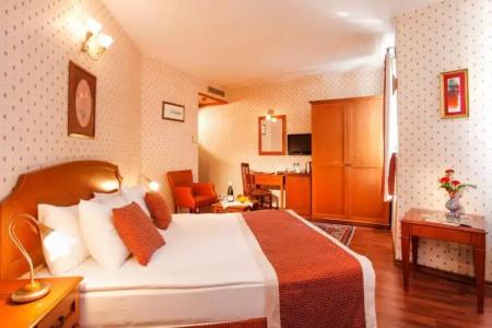 Erguvan - Special Category - 115