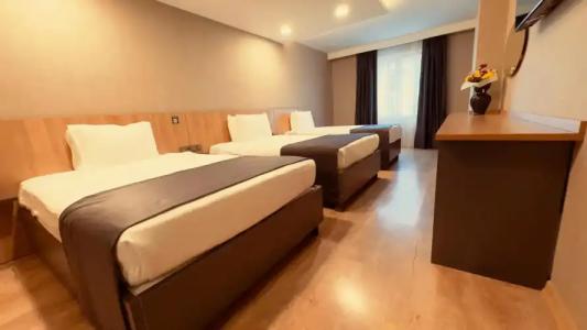 The Green Park Taksim - 101