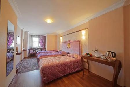 Antea Palace & Spa - 107