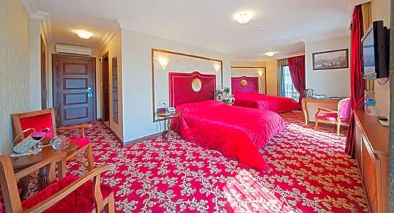 Antea Palace & Spa - 101
