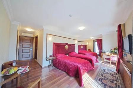 Antea Palace & Spa - 125