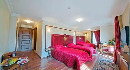 Antea Palace & Spa - 103