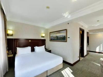 Crowne Plaza Istanbul - Old City, an IHG - 129