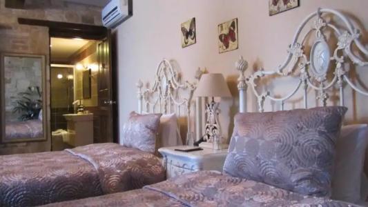 Griffon Boutique - Boutique Class - 42