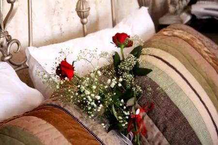 Griffon Boutique - Boutique Class - 37