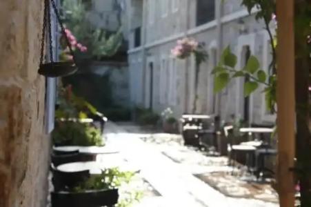 Griffon Boutique - Boutique Class - 20