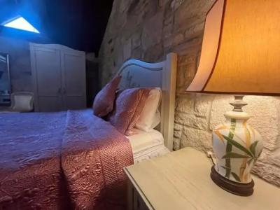 Griffon Boutique - Boutique Class - 3