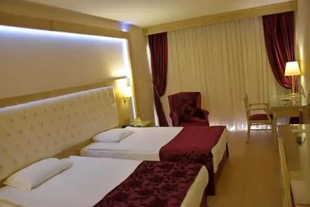 Ege Palas Business - 56