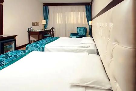 Ege Palas Business - 58