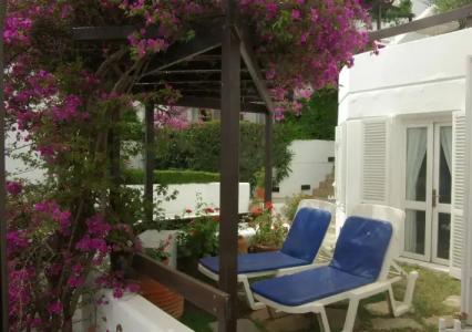 Antique Theatre - 11