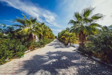 Mare Garden Akyarlar - 24